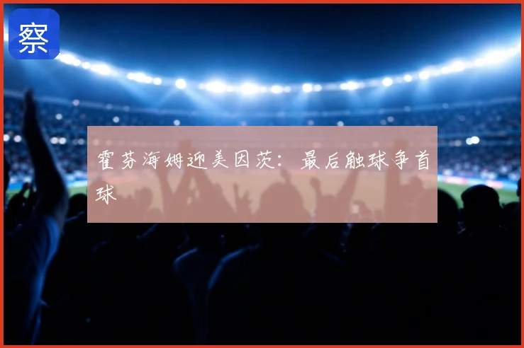霍芬海姆迎美因茨：最后触球争首球